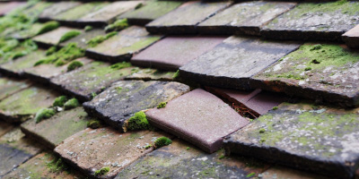 Mansfield Woodhouse roof repair costs